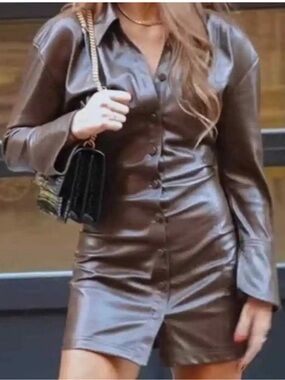 Zara Fitted Button-Down Faux Leather Mini Dress